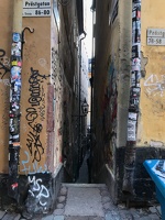 395 IMG 0664 1440x1920