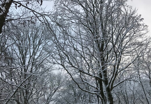 422 IMG 0822 1440x1920