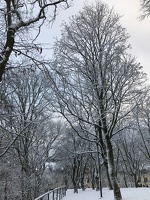 422 IMG 0822 1440x1920