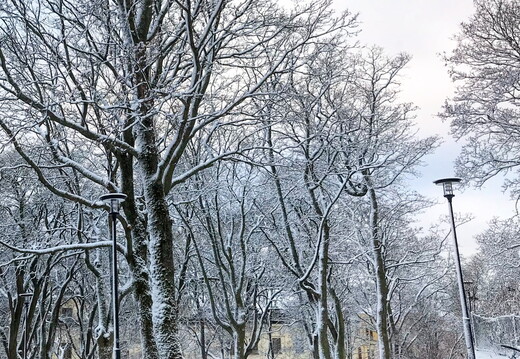 423 IMG 0829 1920x1920