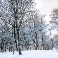 423 IMG 0829 1920x1920