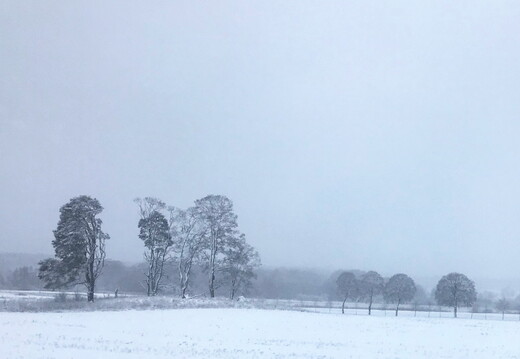 424 IMG 0830 1920x1920