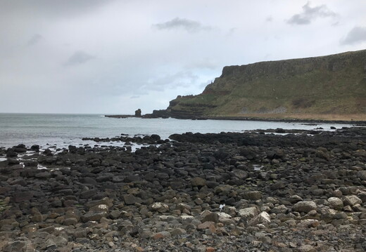 263 IMG 8342 1920x1440