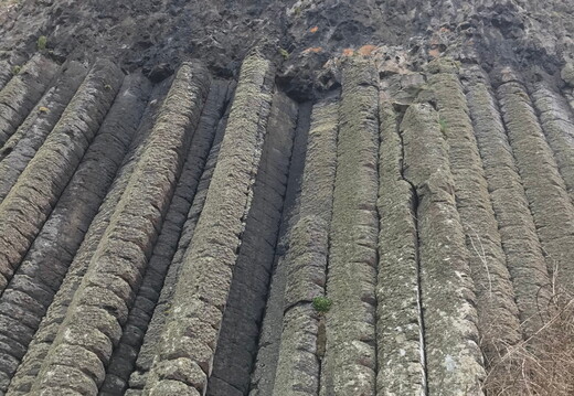 265 IMG 8347 1440x1920