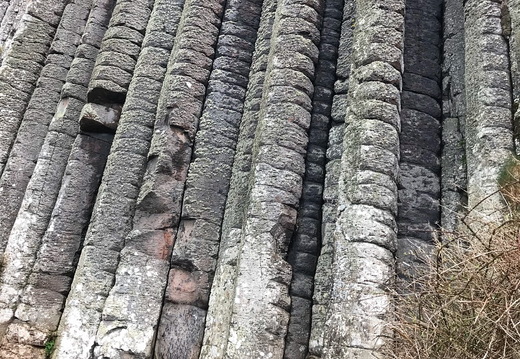 268 IMG 8355 1080x1080