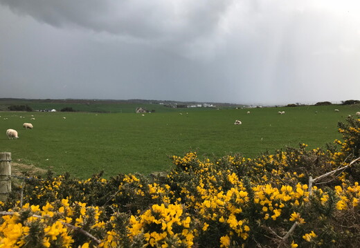 266 IMG 8350 1920x1440