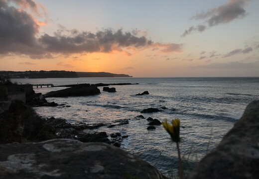 271 IMG 8383 1920x1440