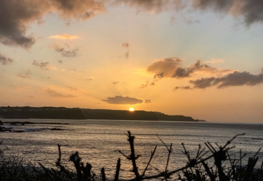 277 IMG 8424 1920x1440