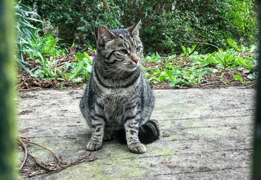 280 IMG 8427 1920x1440