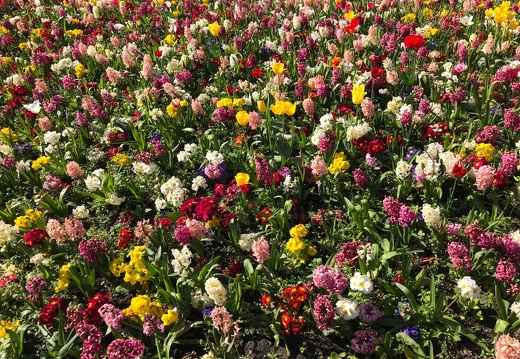 283 IMG 8448 1920x1440