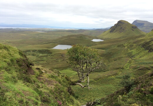 369 IMG 4367 1920x1440