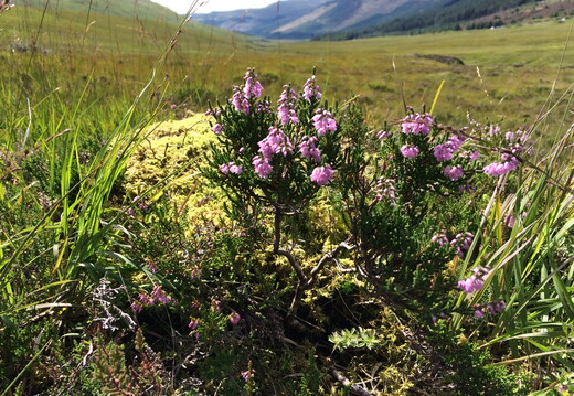 374 IMG 4429 1920x1440