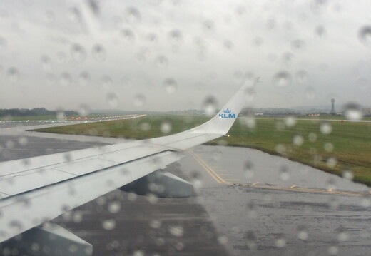 385 IMG 4652 1440x1920