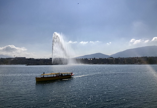 765 IMG 2183 3988x2992