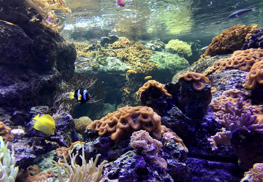 795 IMG 4241 4032x3024