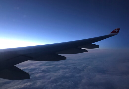 529 IMG 7751 1920x1440