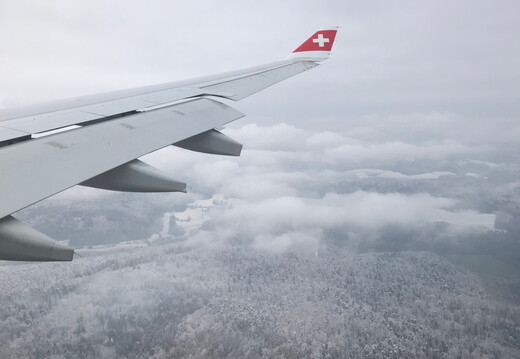 530 IMG 7771 1440x1920