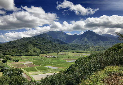 566 2019-08-14 02.43.41 3988x2992