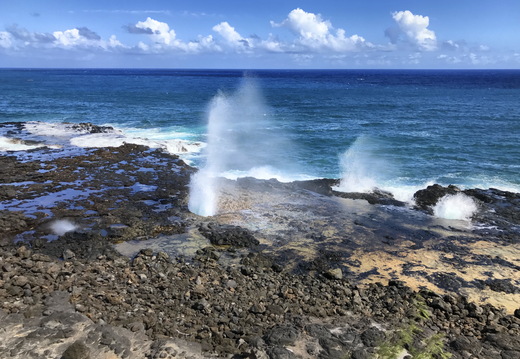 569 2019-08-15 03.23.20 3833x2875