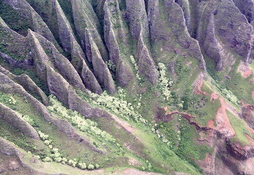 575 2019-08-16 02.52.25 4032x3024