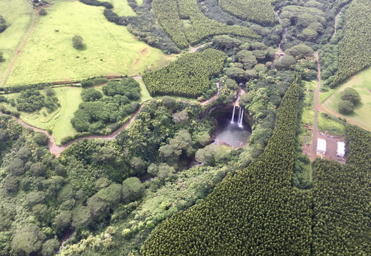 576 2019-08-16 03.15.46 4032x3024