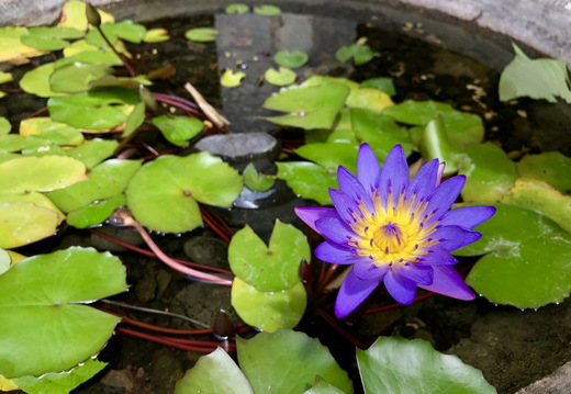 578 2019-08-17 02.11.29 4032x3024