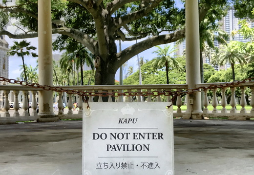 552 2019-08-08 00.51.23 3946x2960