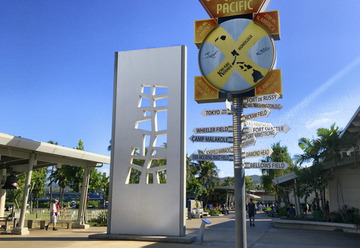 553 2019-08-08 20.38.12 2992x3988