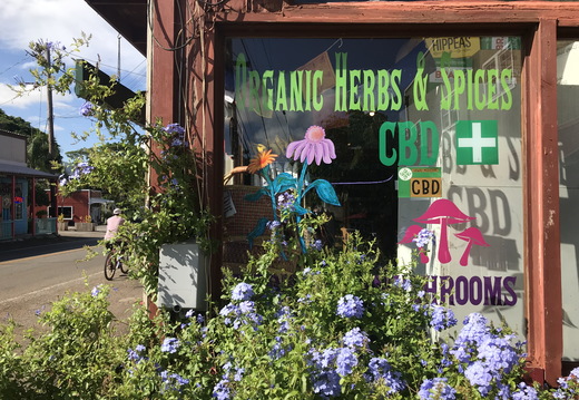 555 2019-08-09 20.56.18 4032x3024