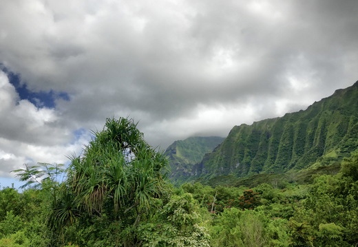 558 2019-08-10 03.14.31 3988x2992