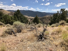 635 2019-09-02 22.48.38 4032x3024