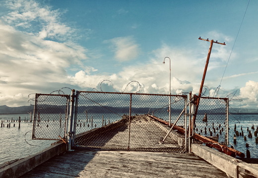 658 2019-09-17 02.46.57 3988x2992