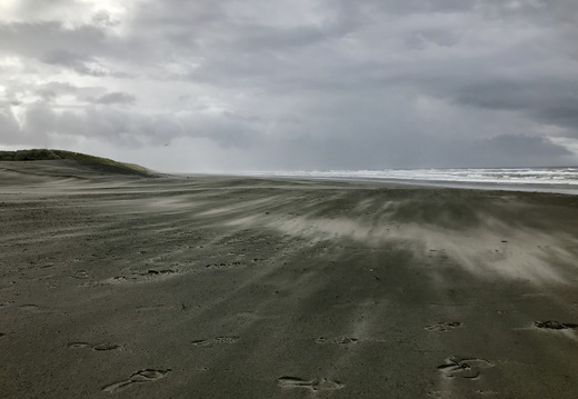 661 2019-09-17 19.56.54 3988x2992