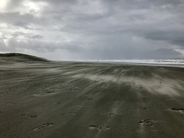 661 2019-09-17 19.56.54 3988x2992