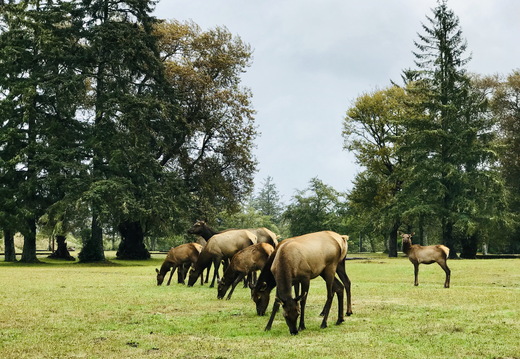 663 2019-09-17 20.22.04 4032x3024