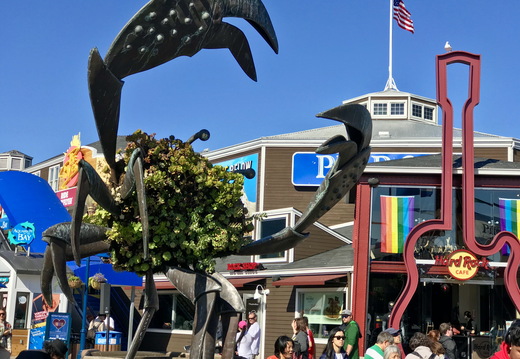 603 2019-08-27 01.37.06 4032x3024
