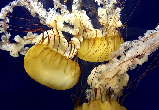 615 2019-08-27 23.50.37 3024x4032