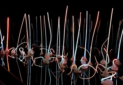 669 2019-09-20 12.00.31 3946x2960