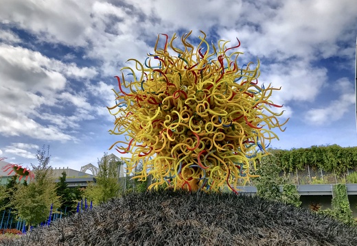 671 2019-09-20 12.19.24 3988x2992