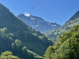 IMG 2671