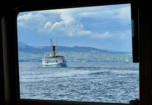 IMG 3490